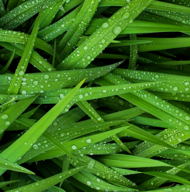 Best Links of the Week: April 13, 2019