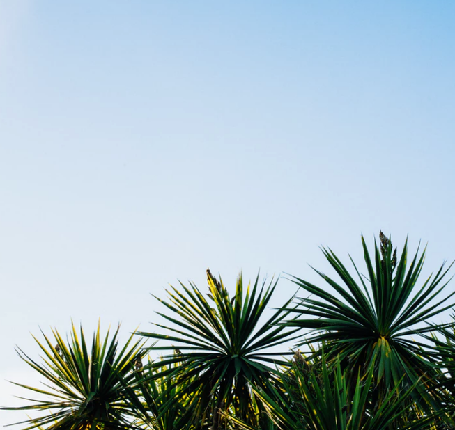 Best Links of the Week: May 4, 2019