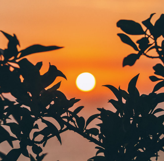 Best Links of the Week: May 11, 2019