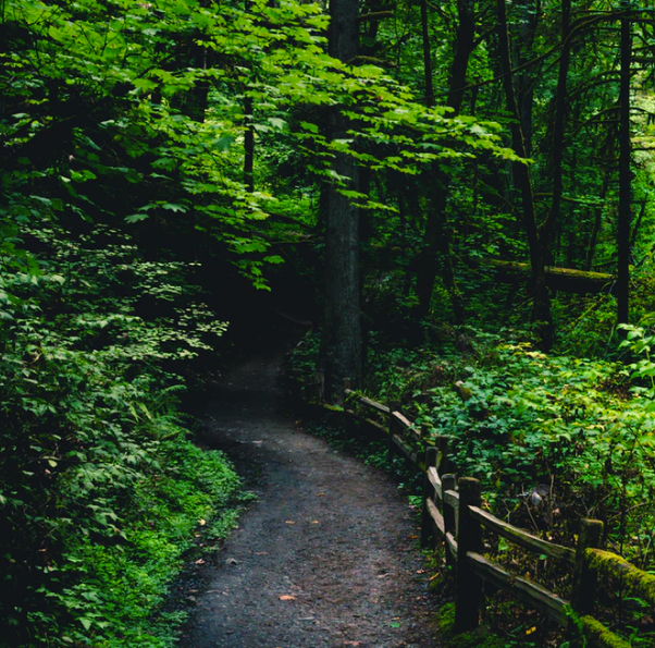 Best Links of the Week: May 25, 2019