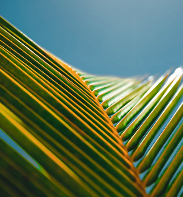 Best Links of the Week: June 8, 2019