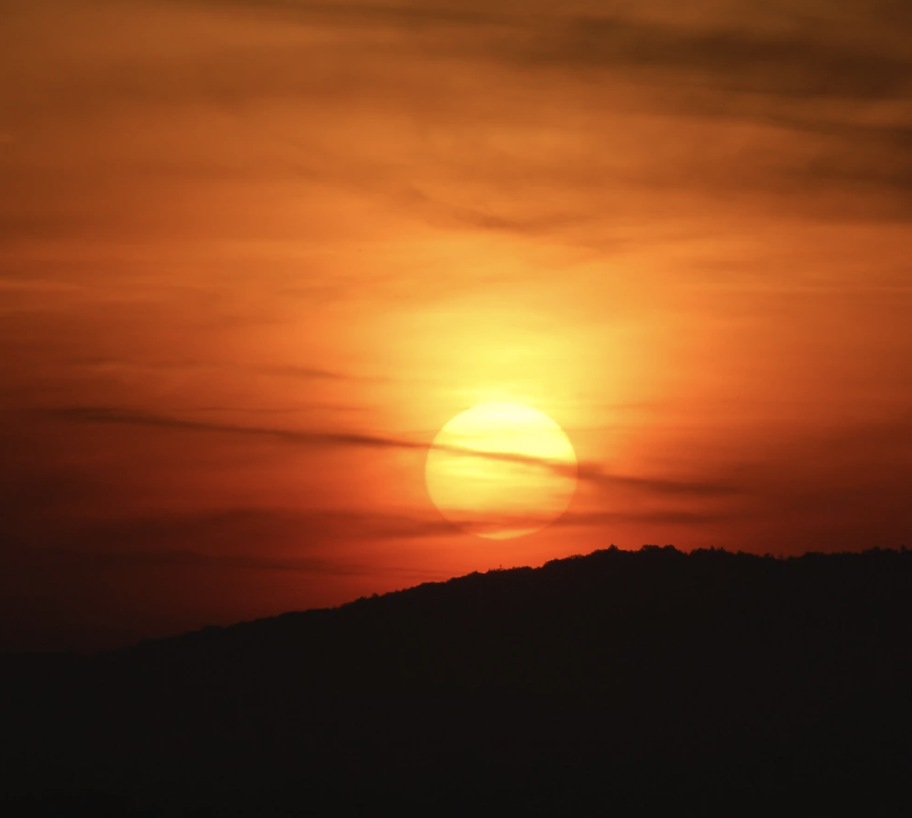 Best Links of the Week: July 6, 2019