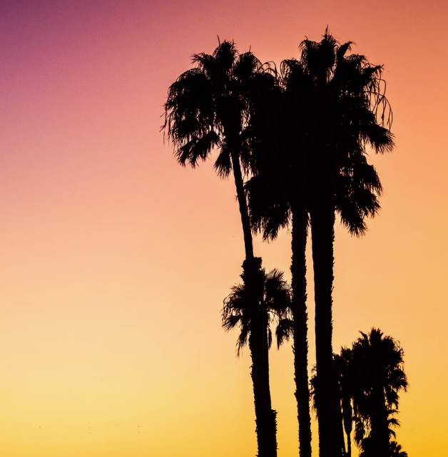 Best Links of the Week: August 3, 2019