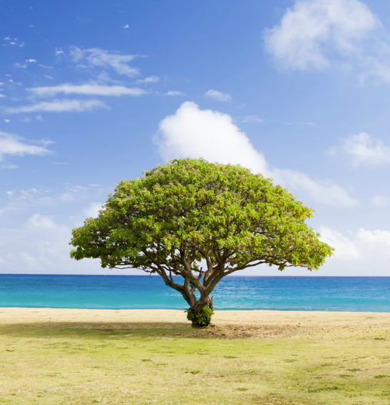 Best Links of the Week: August 10, 2019