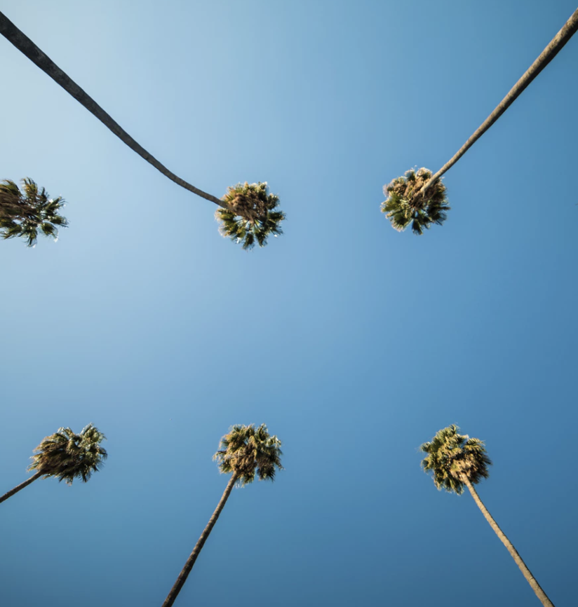 Best Links of the Week: August 23, 2019