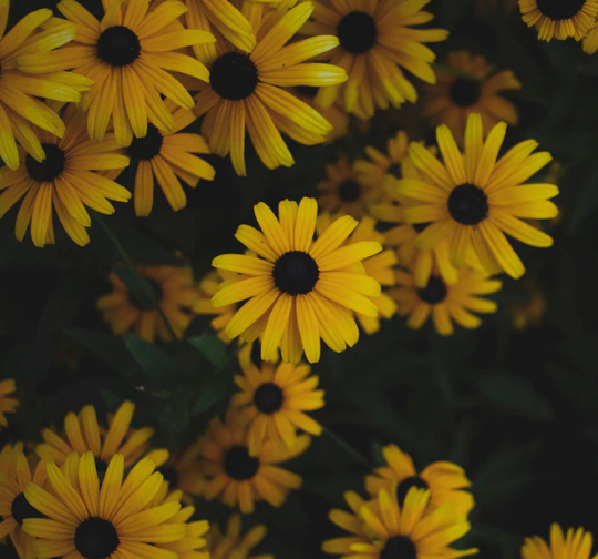 Best Links of the Week: August 31, 2019