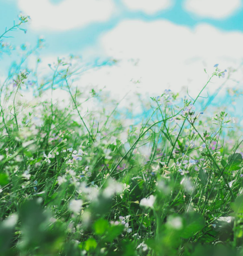 Best Links of the Week: September 7, 2019