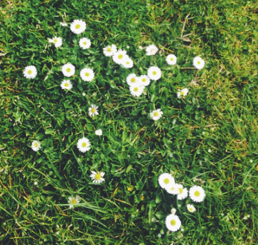 Best Links of the Week: September 21, 2019