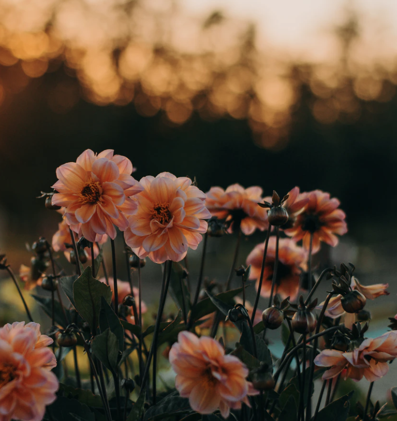 Best Links of the Week: September 27, 2019