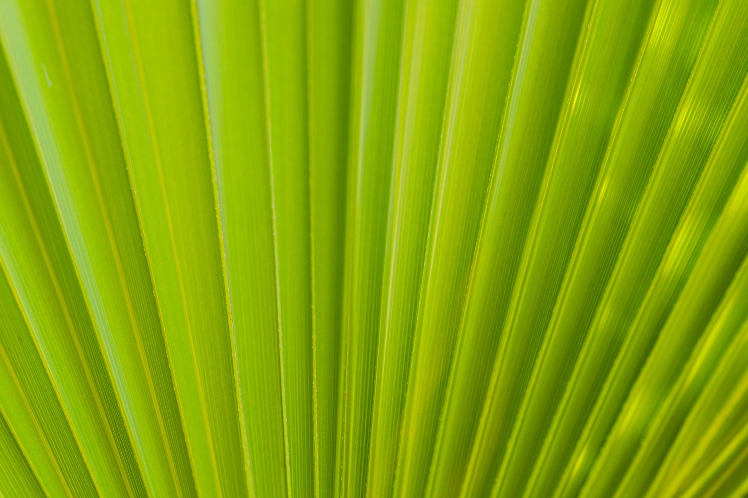 Best Links of the Week: October 19, 2019