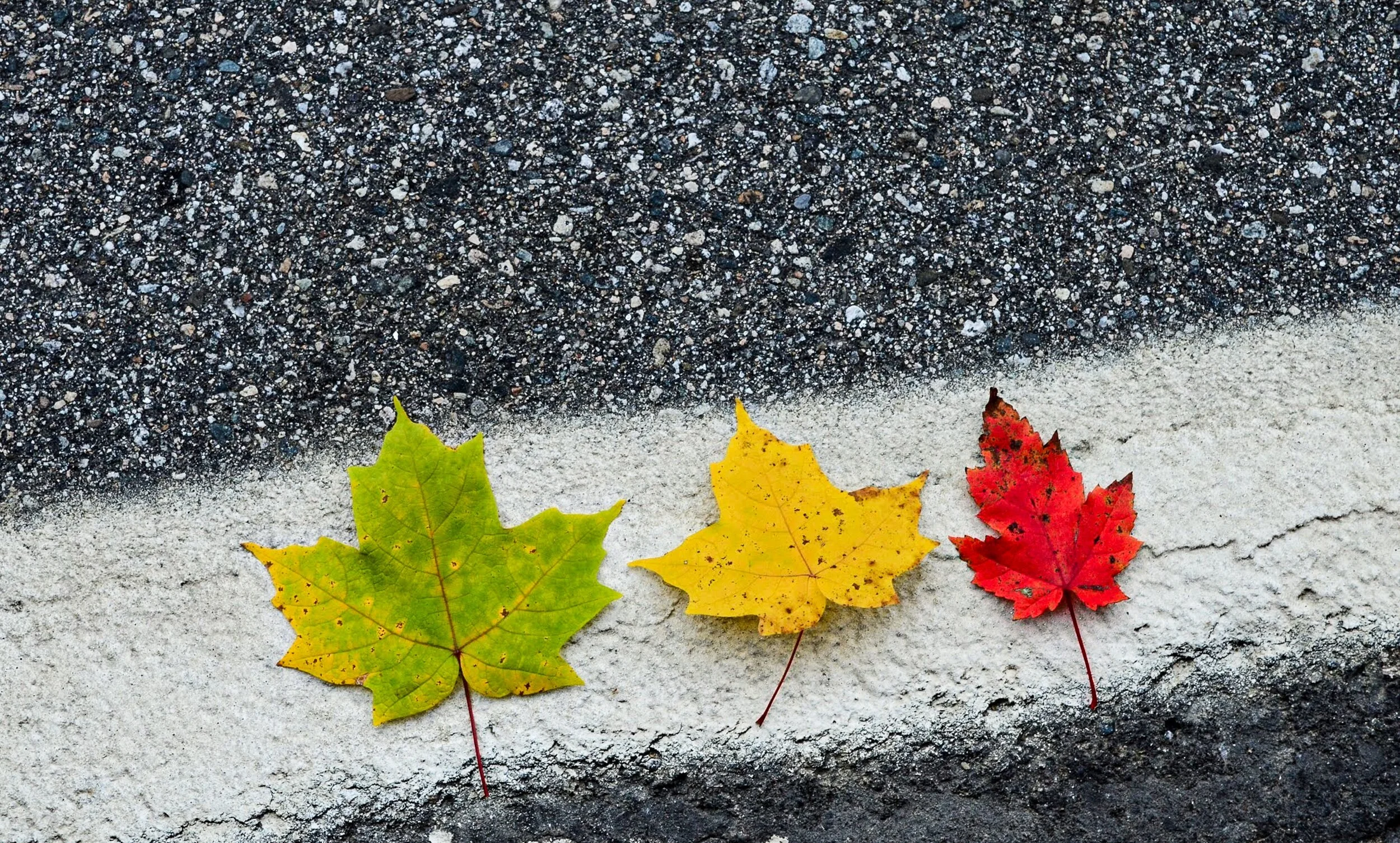 Photo by ELVIS lawrence on Unsplash