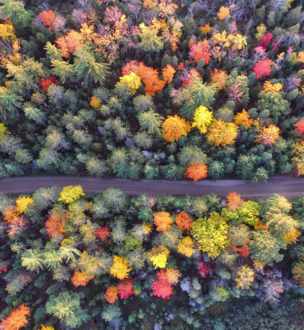 Best Links of the Week: November 16, 2019
