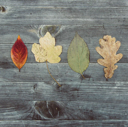Best Links of the Week: November 30, 2019