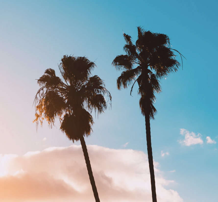 Best Links of the Week: January 11, 2020