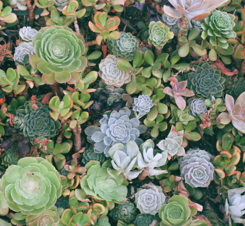 Best Links of the Week: January 18, 2020