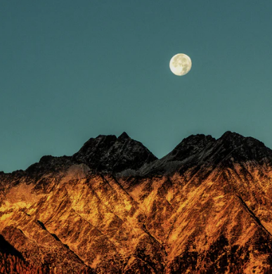 Best Links of the Week: March 7, 2020