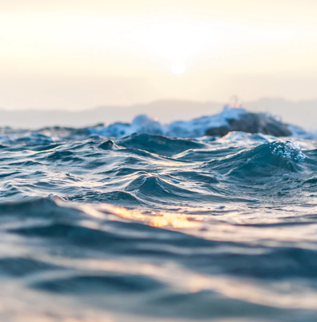 Best Links of the Week:  March 21, 2020