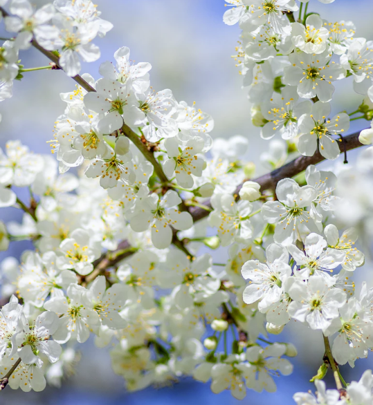 Best Links of the Week:  March 28, 2020