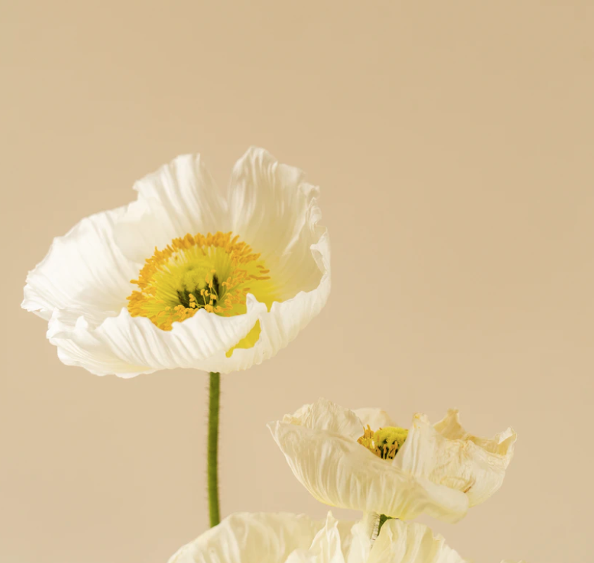 Best Links of the Week:  May 2, 2020