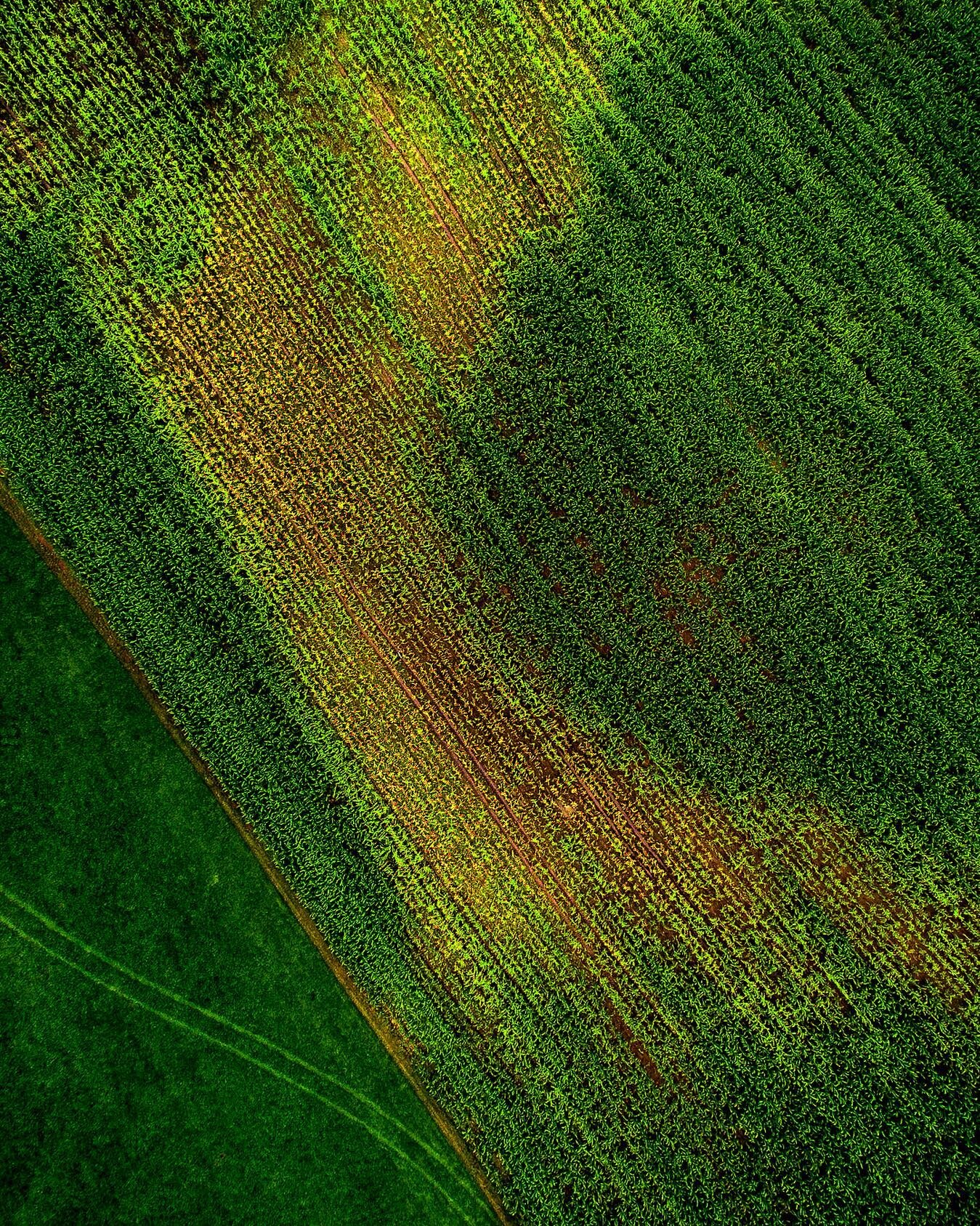 Farm fields. 
&bull;
&bull;
&bull;
&bull;
&bull;
&bull;
#farminglife #tractors #outdoorsy #dronelife #dronefly #wanderers #hometown #igersmaine #abstractlandscape #landscapehunter #agriculturelife #summertimes
