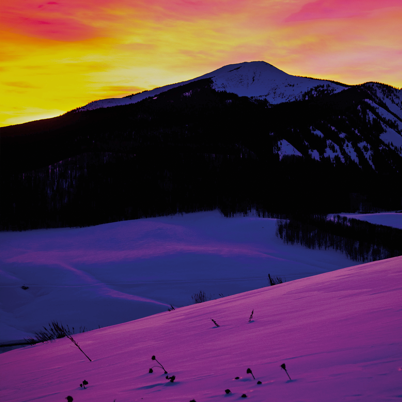 TAPP Intro Image.png