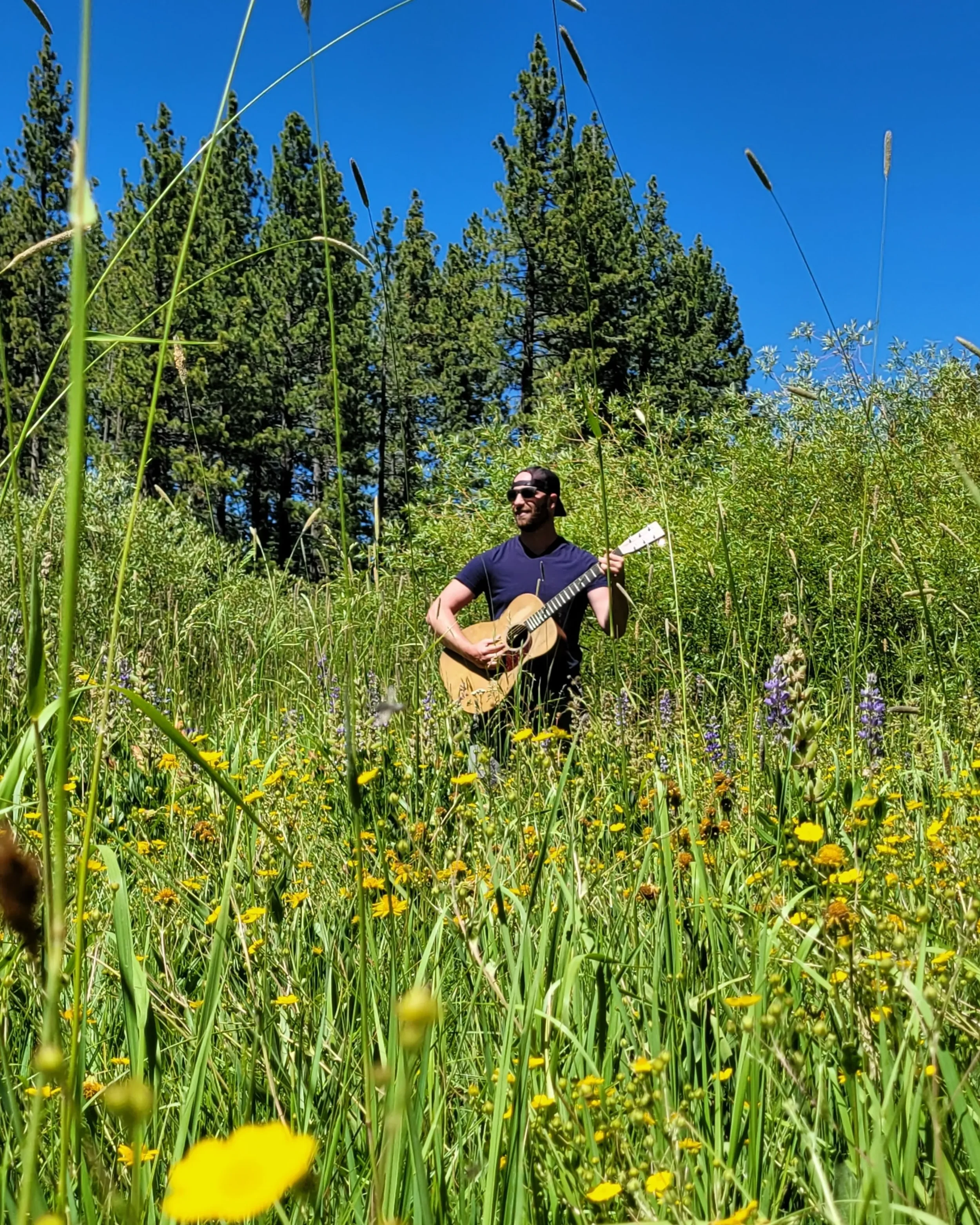 Music Series at Community Arts Center!