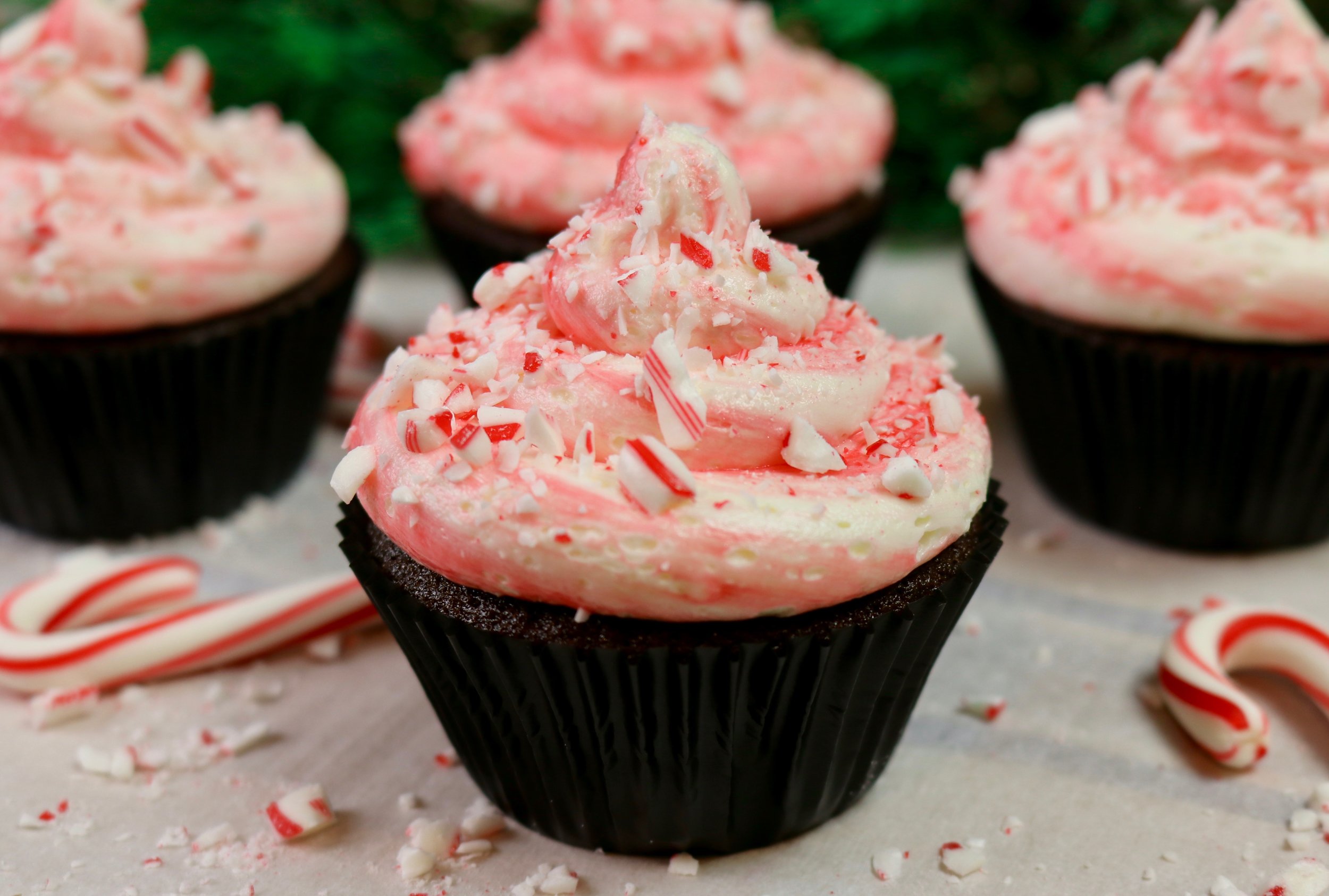 Chocolate Peppermint Cupcakes 