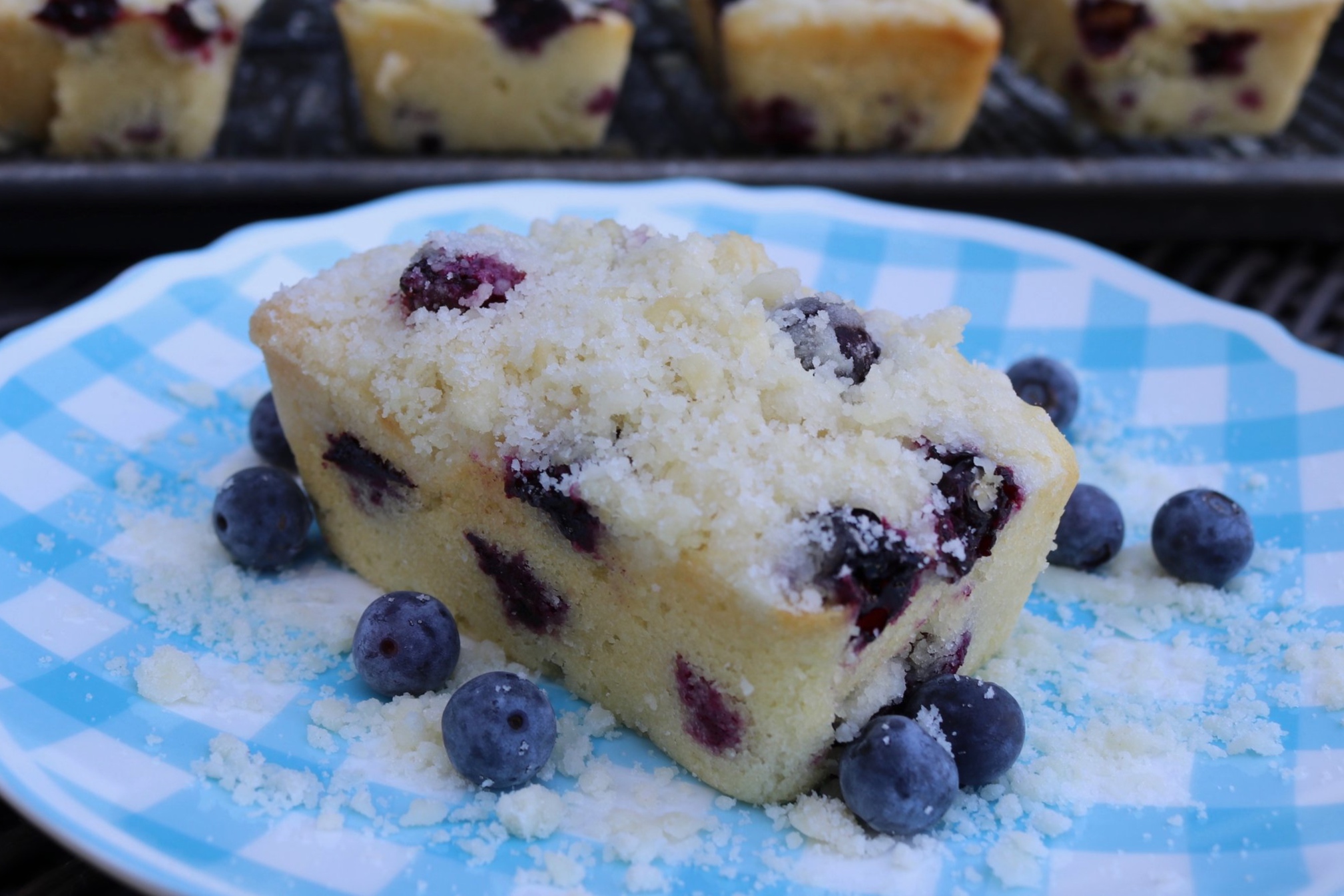 Blueberry Mini-Loaves