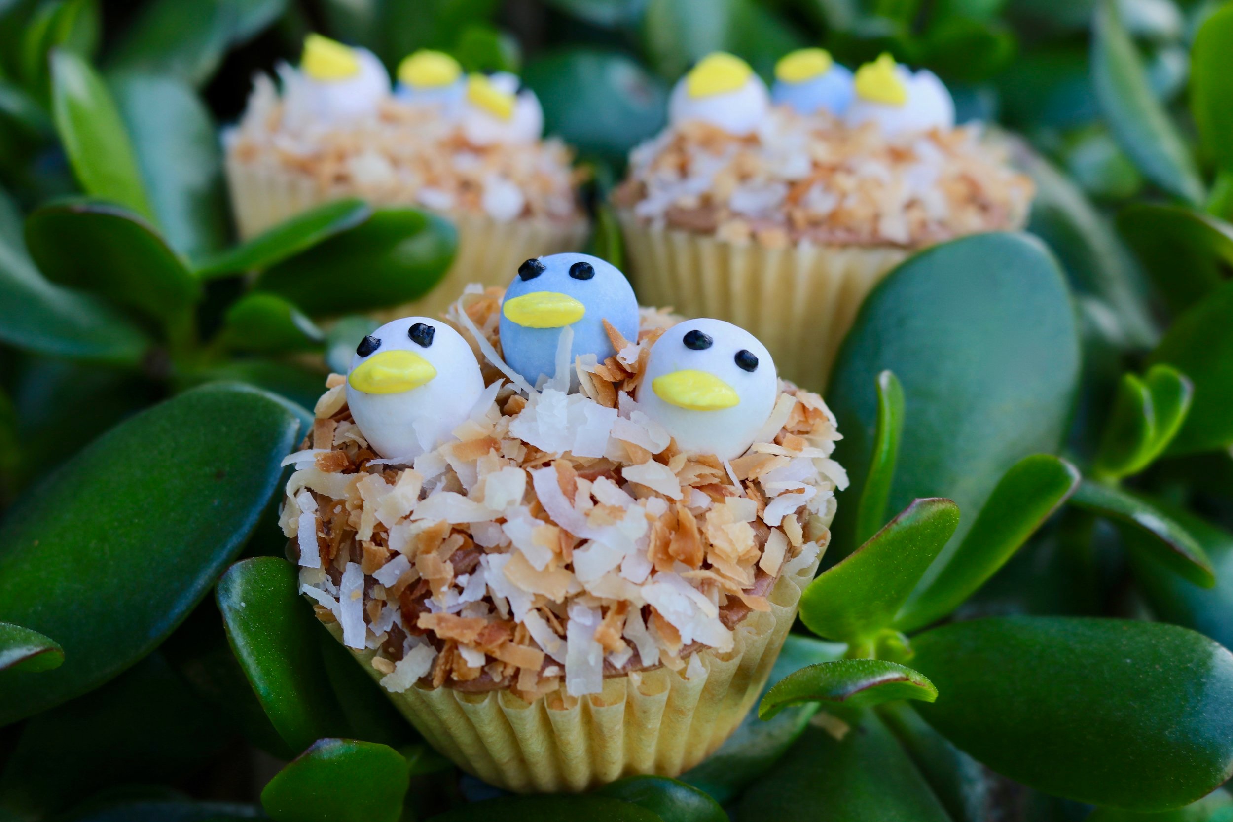 Birds Nest Cupcakes