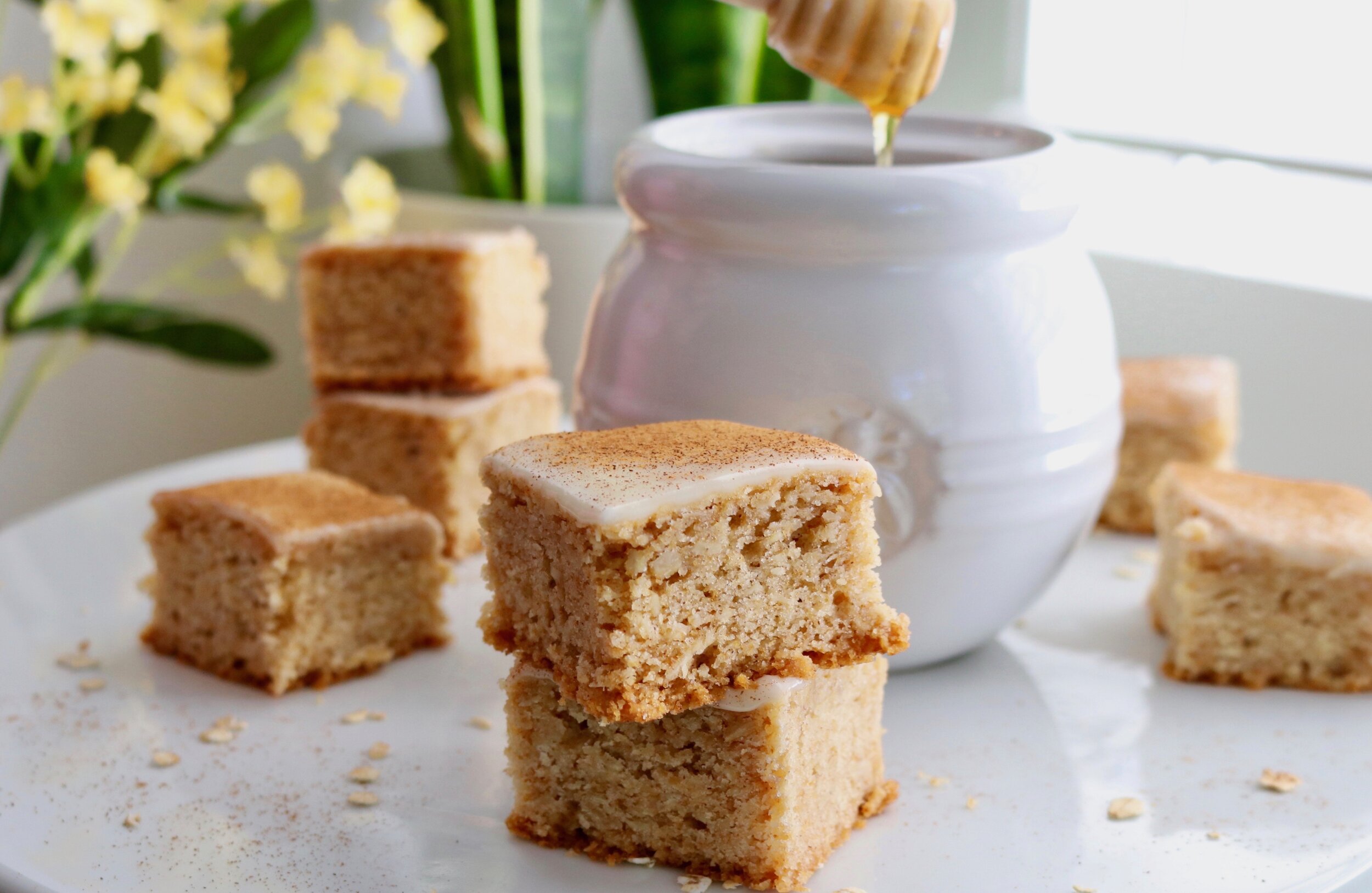 Honey Oat Cinnamon Squares