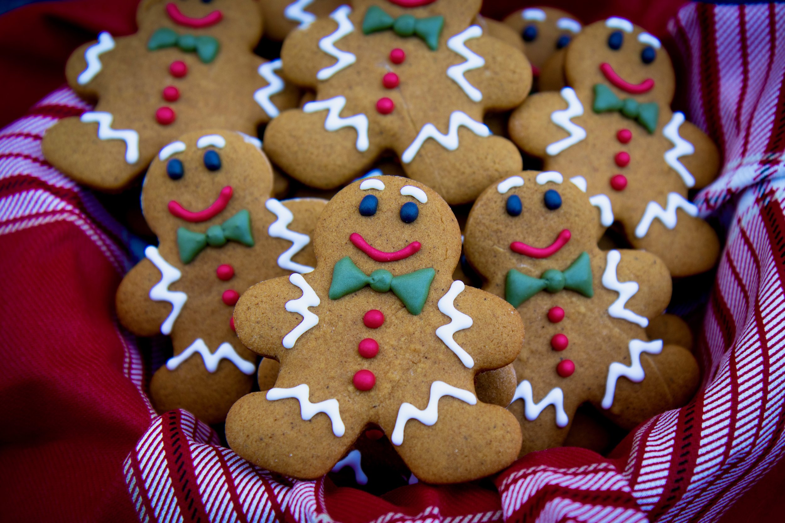 Gingerbread Cookies — Baking with Josh & Ange