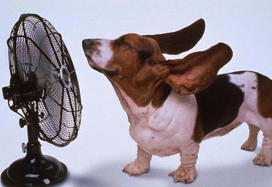 Air-conditioning-fan.jpg