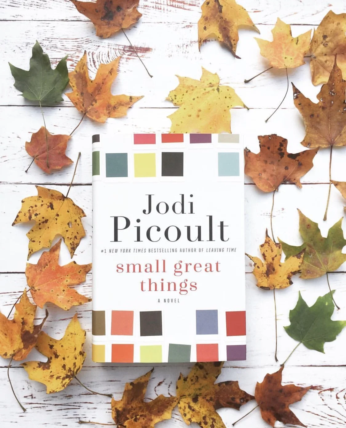 Jodi Picoult Book Picture.jpg