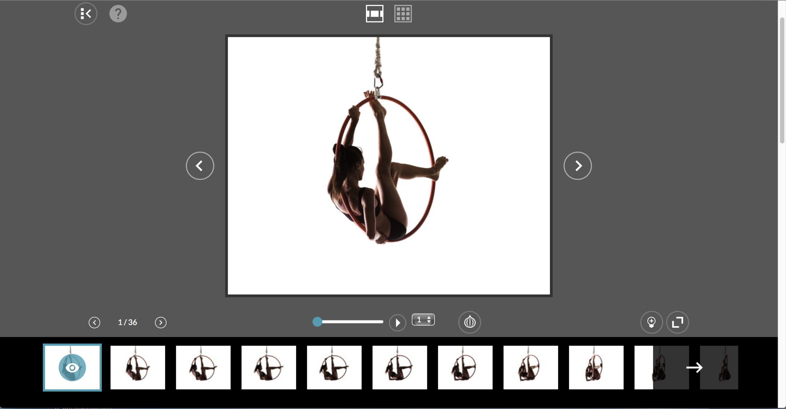 Screen Shot 2019-07-04 at 8.42.50 AM.png