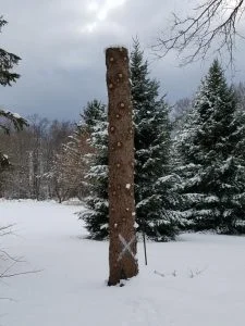 Art Along the Trail