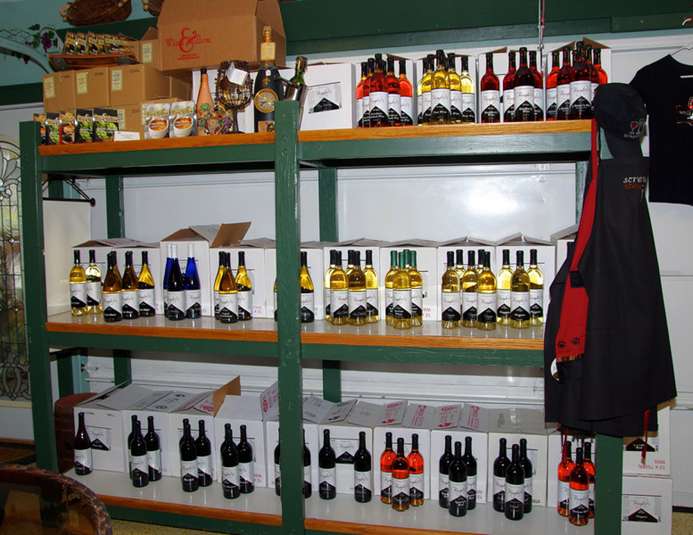 IMGP0583-L.jpg