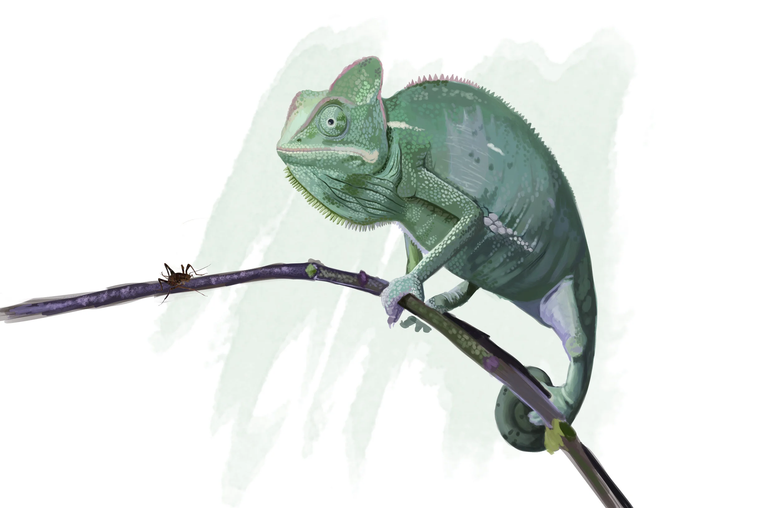 Chameleon