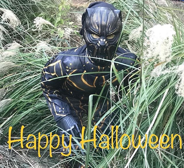 We hope you all had a fun Halloween! #southernatech #halloween #blackpanther #spooky