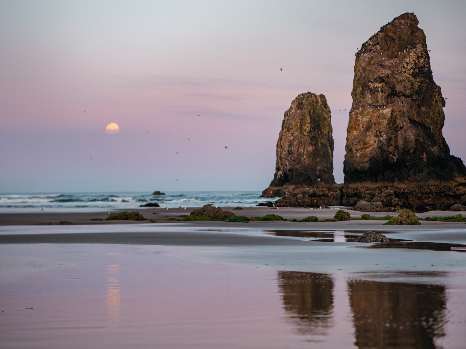 Spring20_Corona-moon-1410707-HDR.jpg