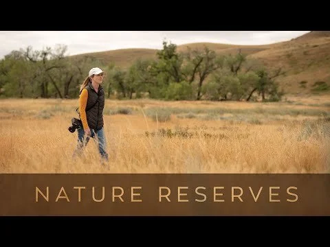 Lethbridge Nature Reserves