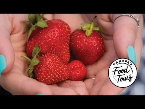 Canada's Food Tours - Broxburn Vegetables & Café