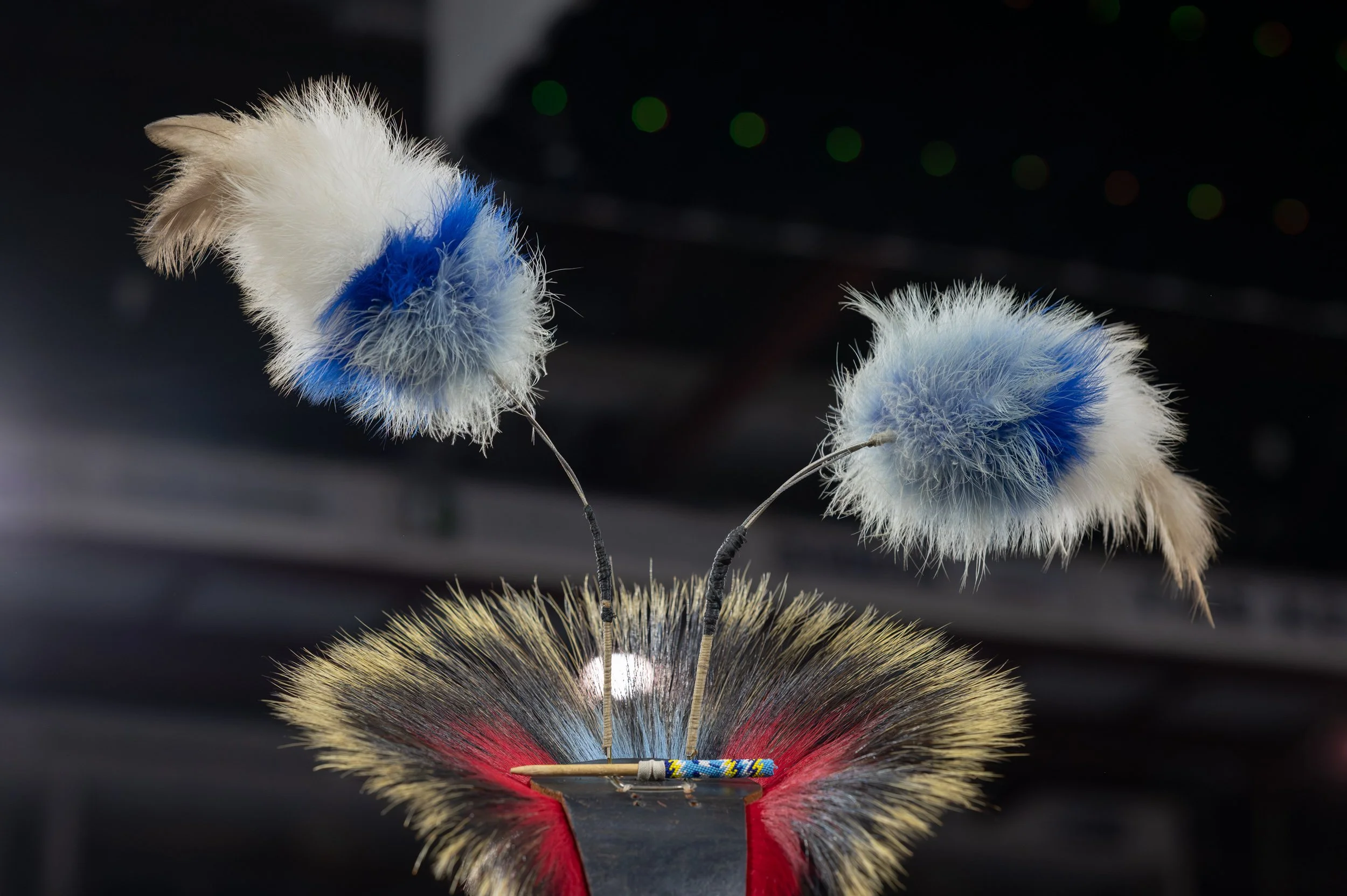 International Peace Pow Wow-1.jpg