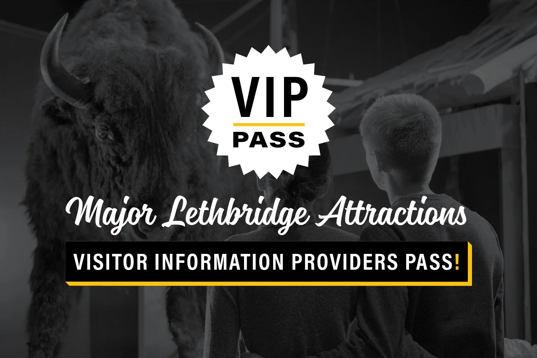 Tour Thumbnails_VIP.jpg