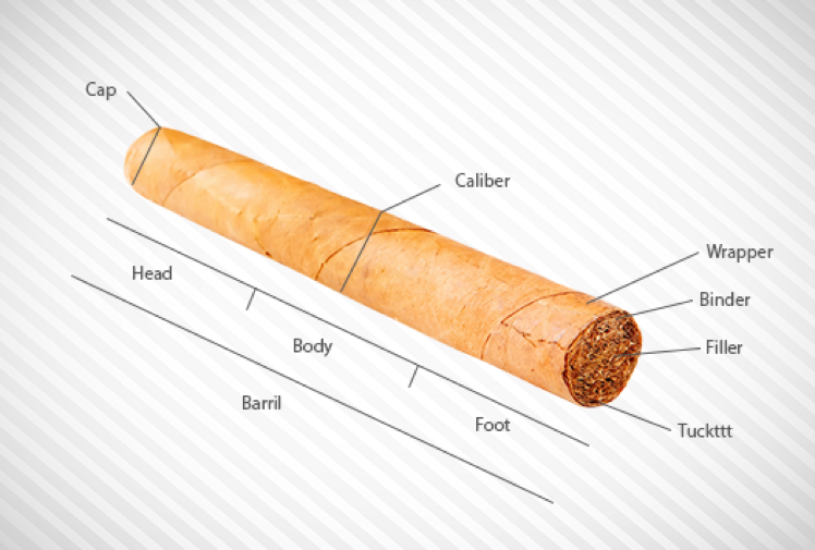 cigar-construction.png