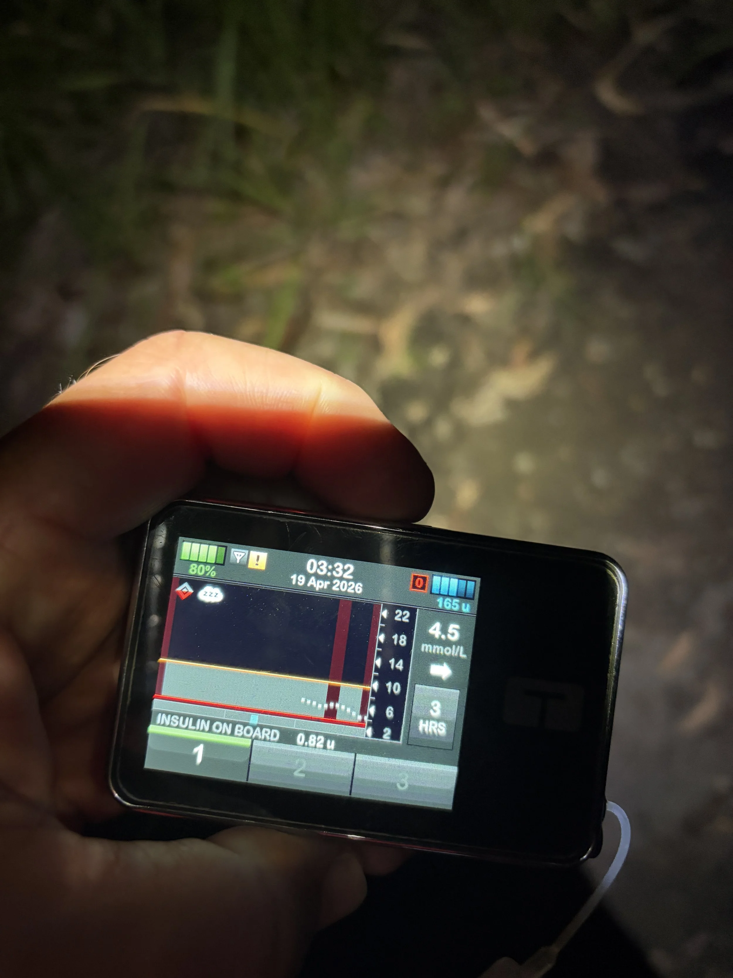 19_04 0336 Yard20 CGM back on.JPG