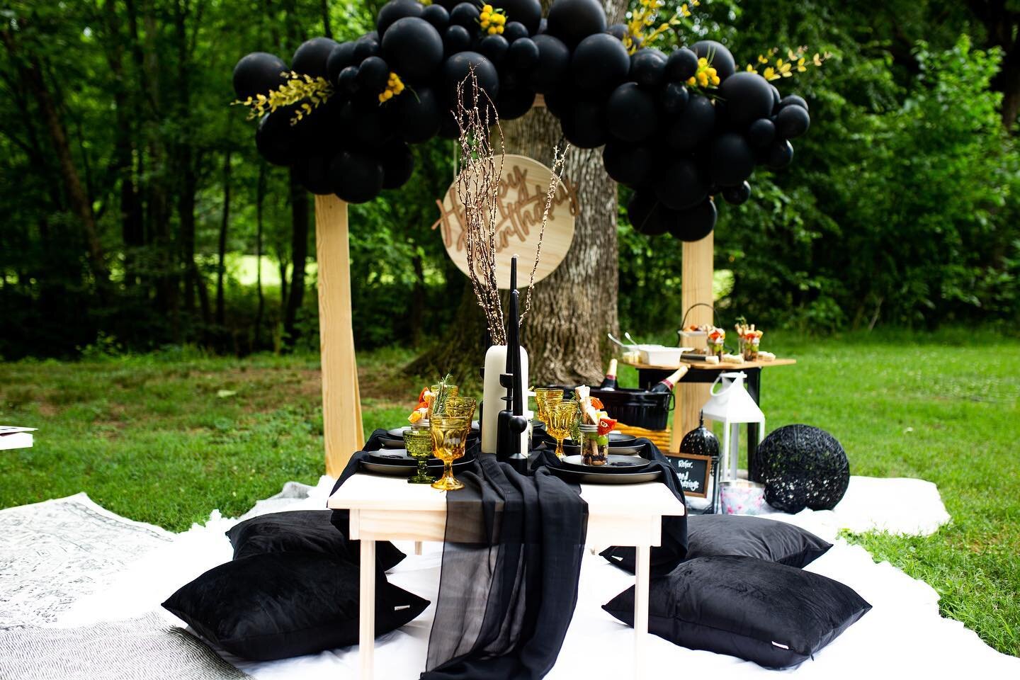 Let&rsquo;s get into the details!  Would you book this package?? Comment &ldquo;YES&rdquo; below!! 📸: @sierracollinsphotography
&bull;
&bull;

#picnicdate #eventdesign #datenight #blacklove #picnicsetup #coupleslove #smallbusinesslife #smallbusiness