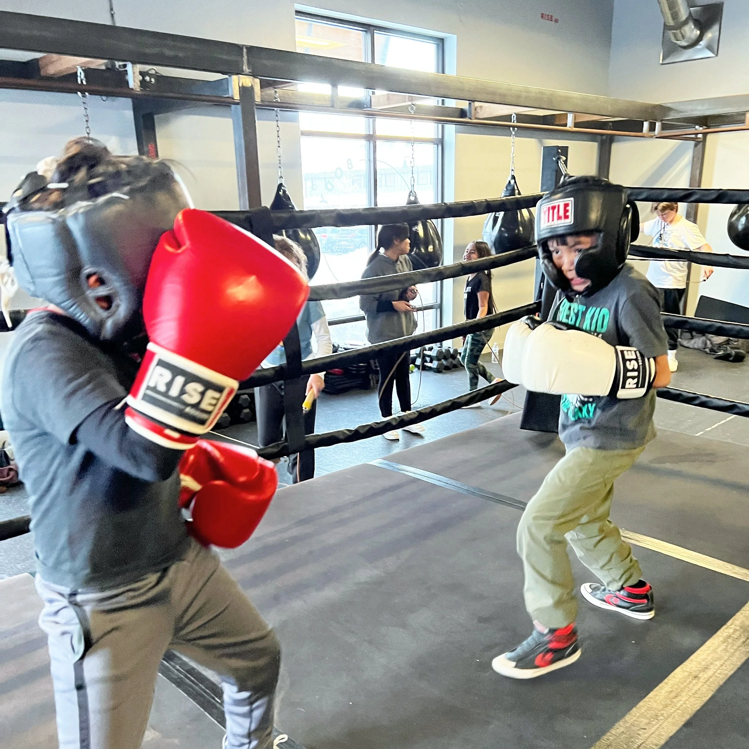 Mayweather’S Legacy: How Genetics Fueled His Rise To Boxing Glory - 9bthdka