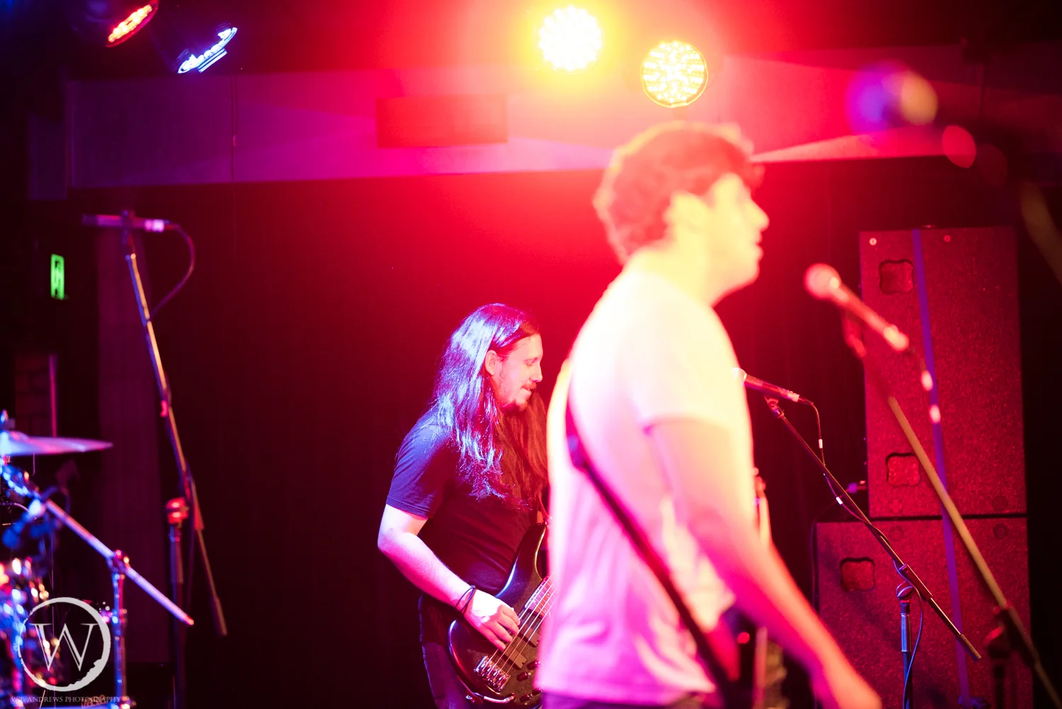 NewGlobe22-12-17 (15 of 23)-2.jpg