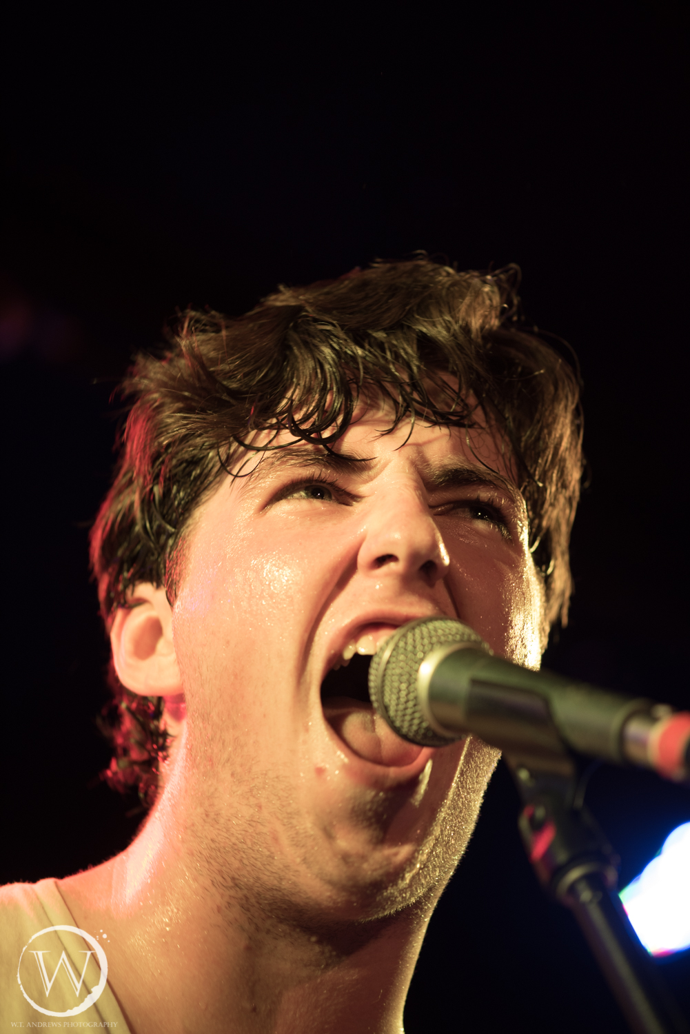 NewGlobe22-12-17 (20 of 23)-2.jpg