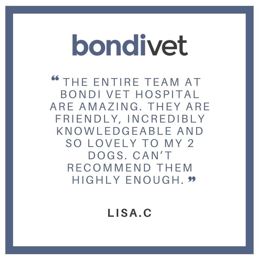 Another lovely review from our amazing clients! 🤍🐾